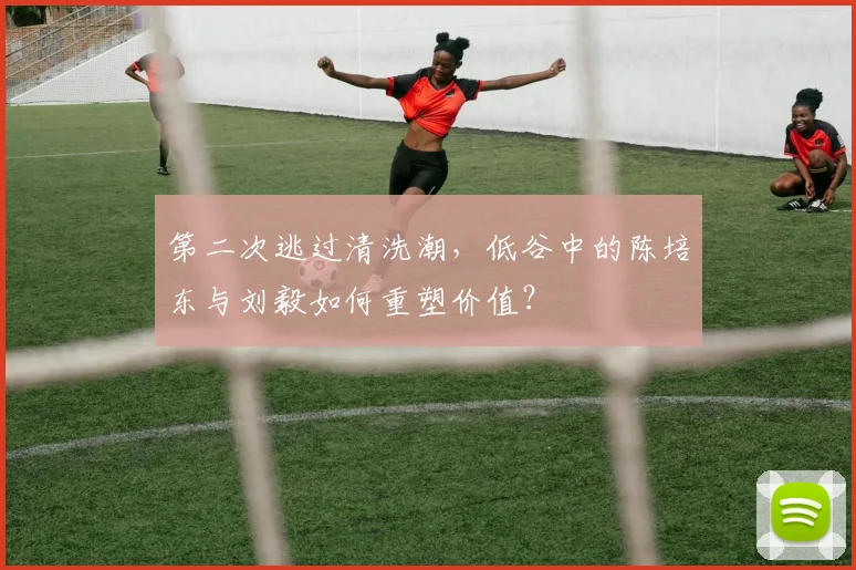 第二次逃过清洗潮，低谷中的陈培东与刘毅如何重塑价值？